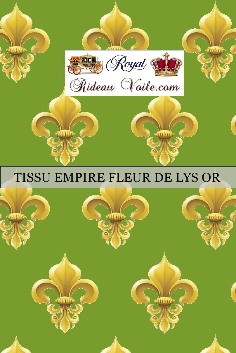 ornement style empire fleur de lys royal tissu ameublement rouge jaune France Paris Versailles
