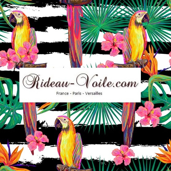 rayé rayure oiseau perroquet tropicale tissu motif exotique 