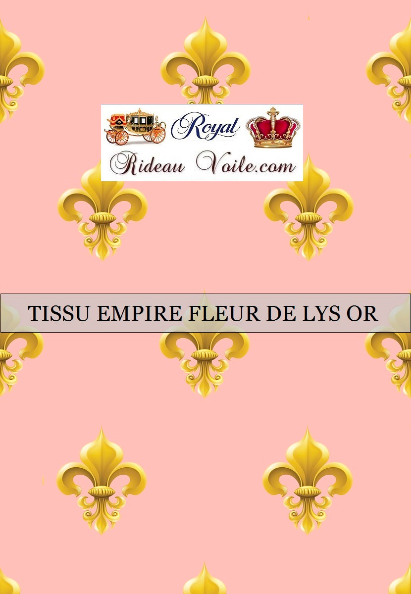noir rose blanc gris ornement style empire fleur de lys royal tissu ameublement France Paris Versailles