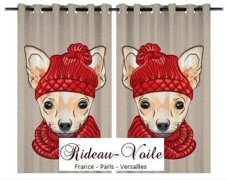 Chihuahua bonnet rouge luxe habit vêtement rideau avec motif chien imprimé chiens toutous chiots animal animaux 